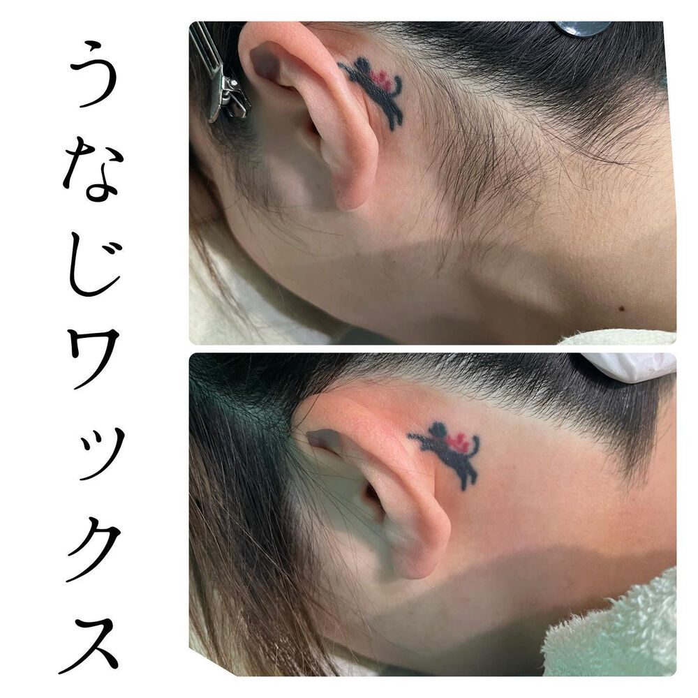 画像1374