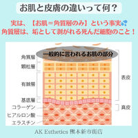 画像2048