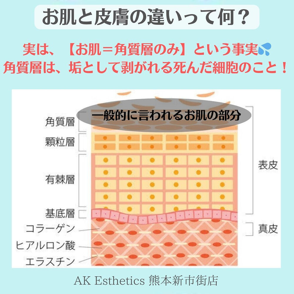 画像2048