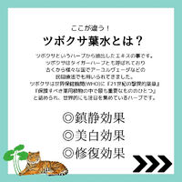 画像2371